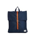 Massa mattis condi msn